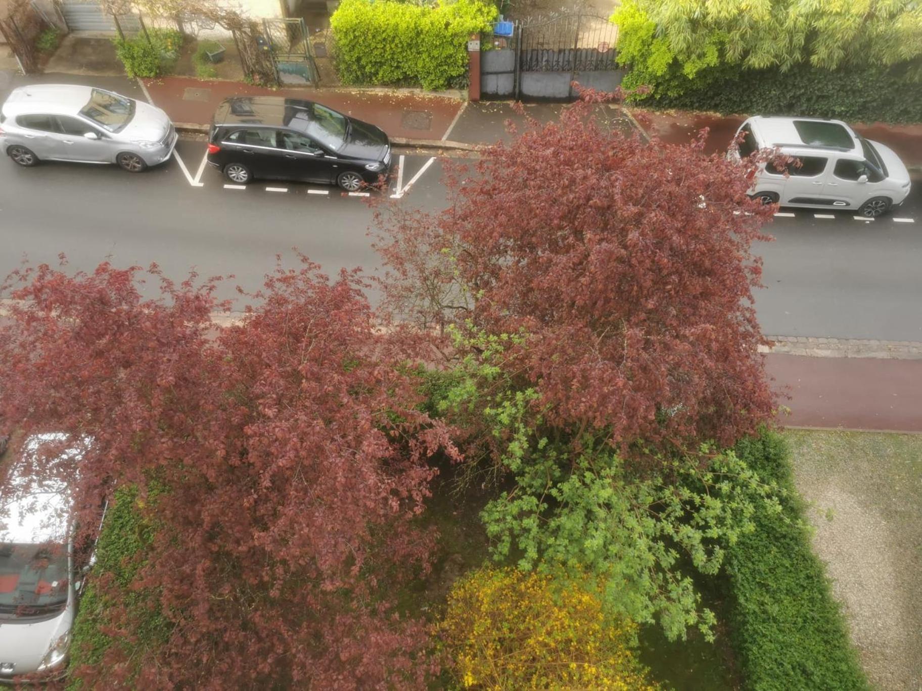 Appartement 3 Pieces A Seulement 5Km De Paris - For 2 To 7 Guests ! Фонтене-о-Роз Екстериор снимка